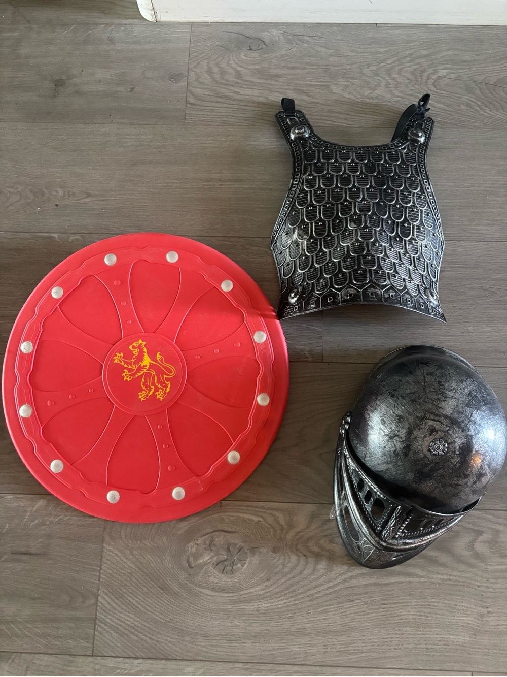 Kids' Red Lion Shield and Silver Knight Helmet Costume Set
